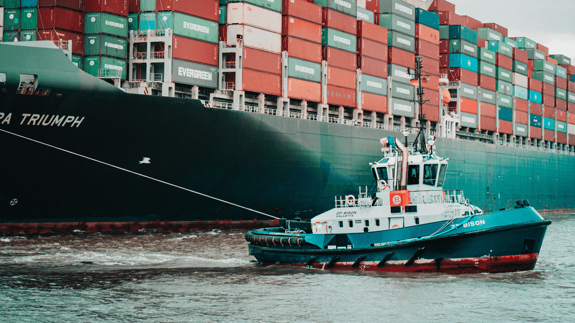 supply chain